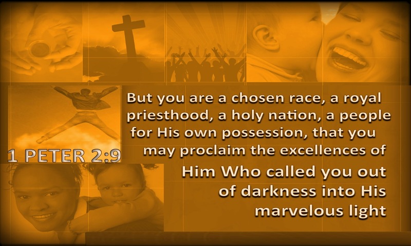 1 Peter 2:9 You Are A Chosen People (brown)